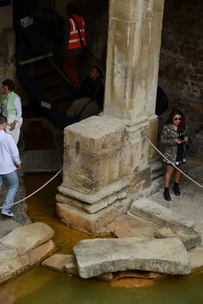 DSC_2625 (Large).JPG